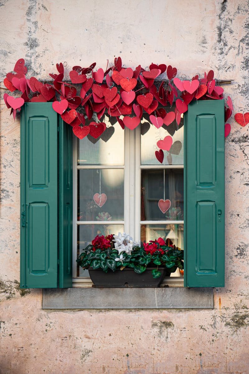 Role of Public Transparency in Appointments